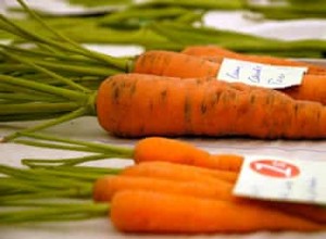 Une recette de carottes de Noël 