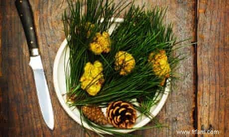 Recettes de poulet au babeurre, colvert et mousse de châtaigne 