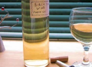 Comment faire du vin de sève de bouleau 