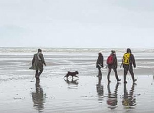 Un pique-nique hivernal pour chasser le blues de janvier 