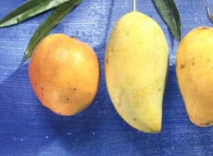 Pourquoi la mangue est bonne pour vous 