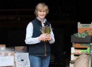 Les asperges anglaises sont très demandées 