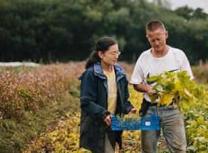 Rencontrez les producteurs d edamame :« Je n ai jamais été aussi occupé auparavant. C est non-stop  