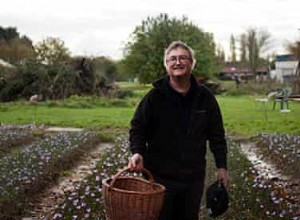 Rencontrez le producteur de safran : Cela semblait ridicule que le Royaume-Uni ne le cultive pas  