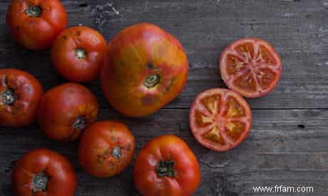 Comment faire pousser vos propres tomates 