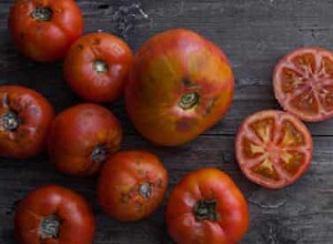 Comment faire pousser vos propres tomates 