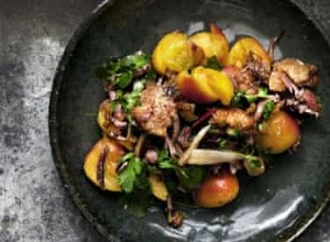 Les recettes d abricots de Nigel Slater 