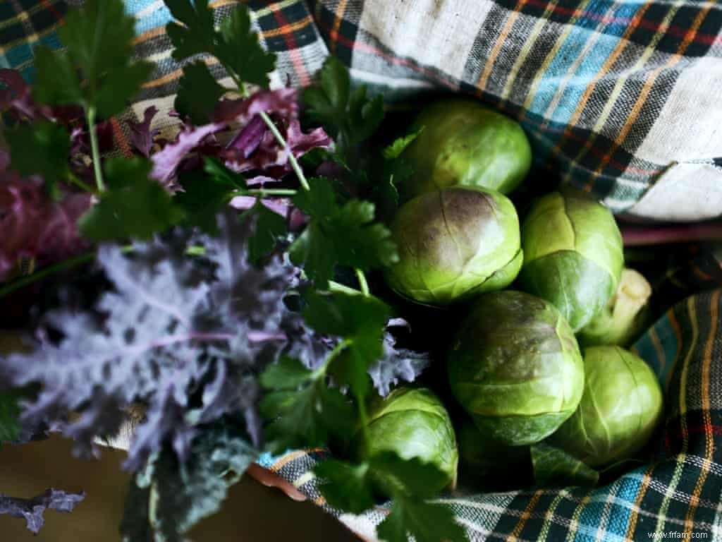 Plats de saison :choux de Bruxelles dans une salade de légumes d hiver 