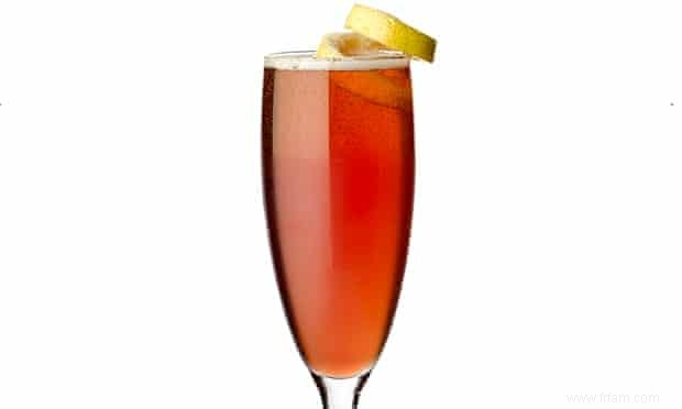 Le bon mixeur :recette cocktail sloe gin fizz 