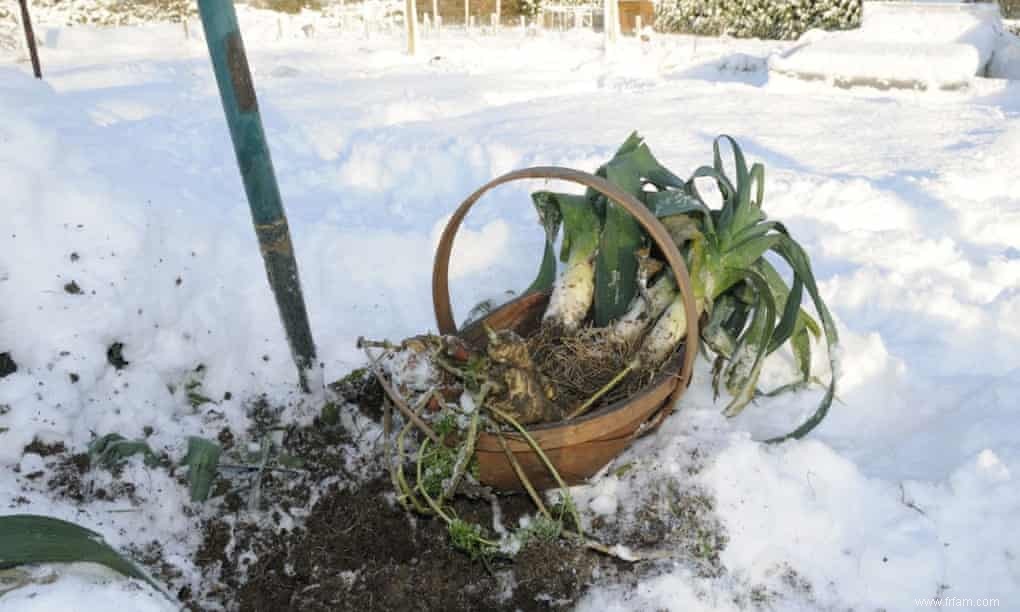 Comblez la faim avec un panier-repas de saison 