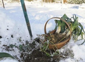 Comblez la faim avec un panier-repas de saison 