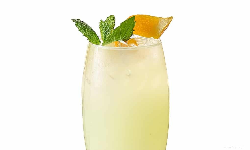 Le bon mixeur :recette de limonade au blender 