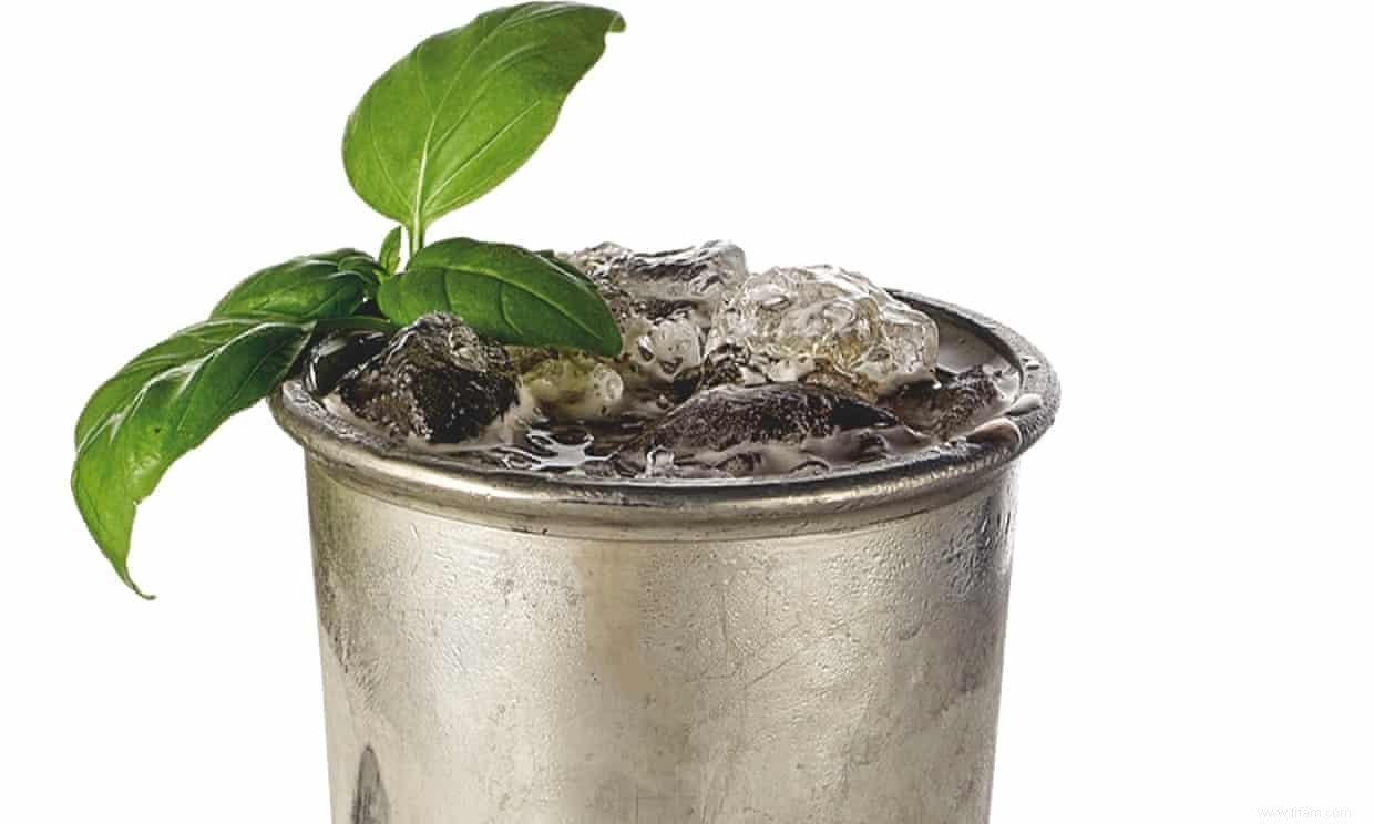 Le bon mixeur :bière julep 