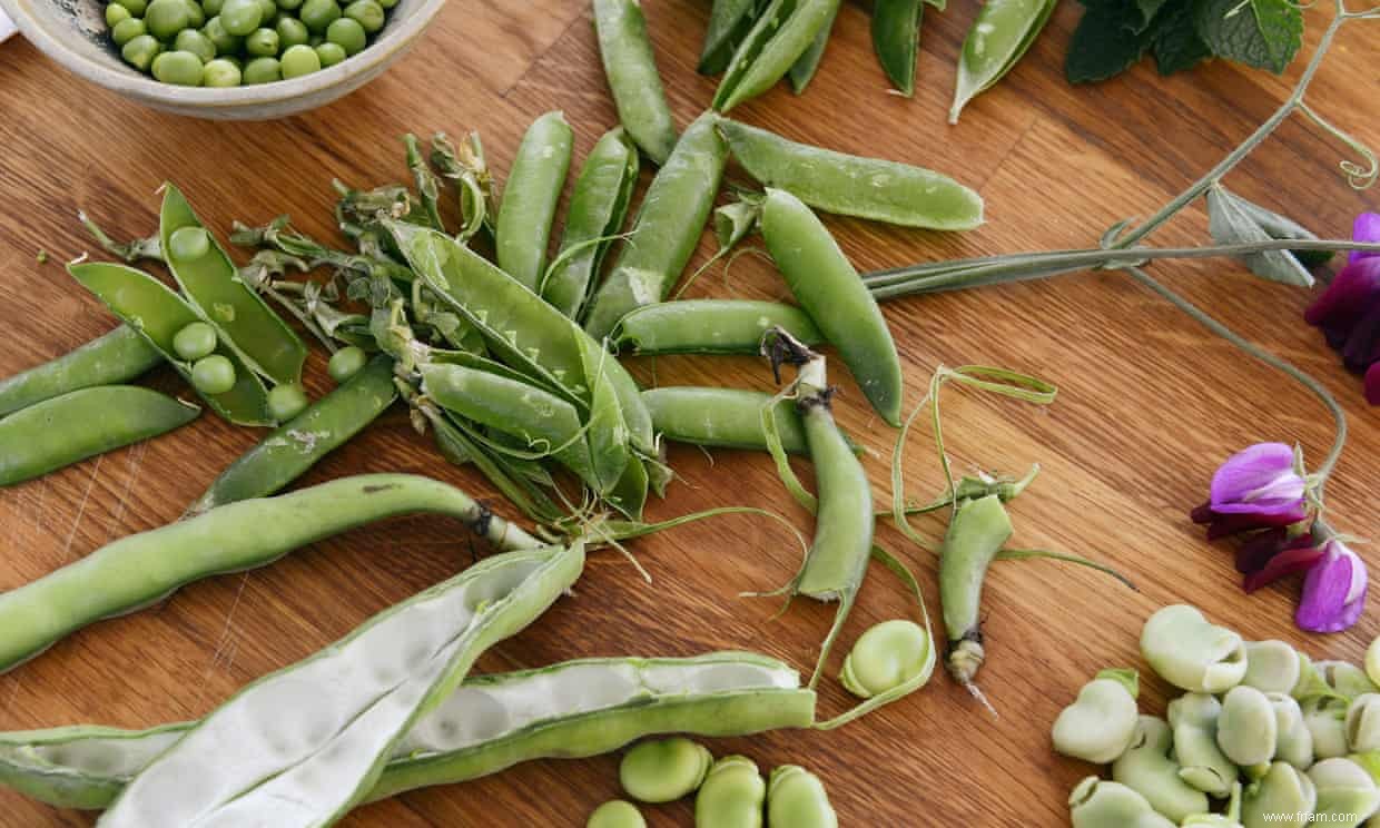 Cuisine de saison :salade de fèves au chèvre 