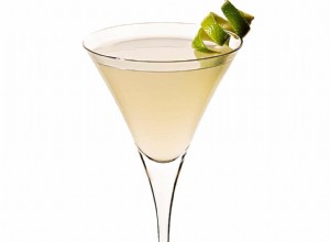 Le bon mixeur :recette du cocktail G&T martini 