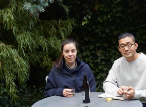 Deux recettes de salade d aubergines braisées à la chinoise et de tofu 