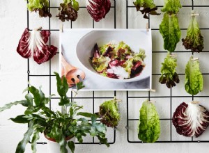 Une recette pour une bonne salade verte croquante 