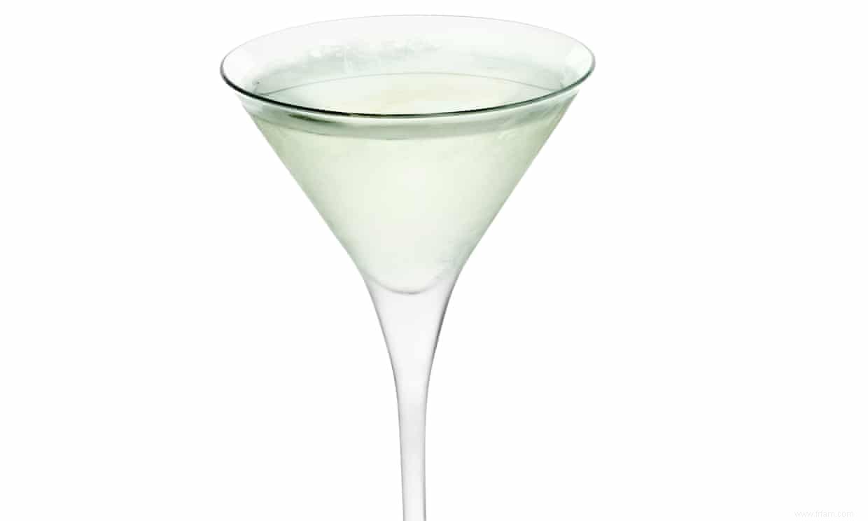 Cocktail de la semaine :recette du gin martini au pin et à l orange brulée 