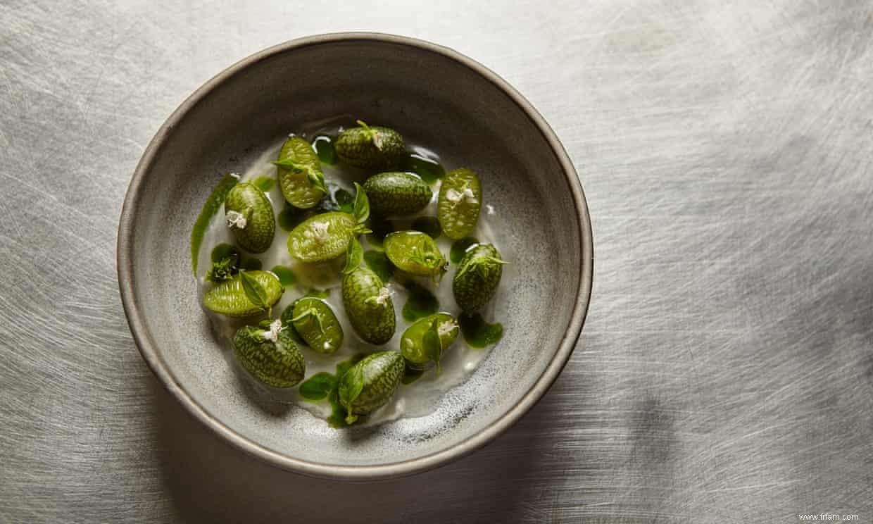 Les recettes végétariennes de Brent Savage :concombres et carottes salés avec quinoa et chou frisé 