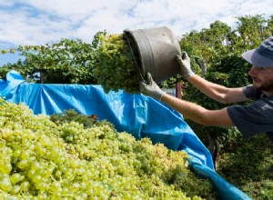 Le retour de Soave, un style tant décrié 