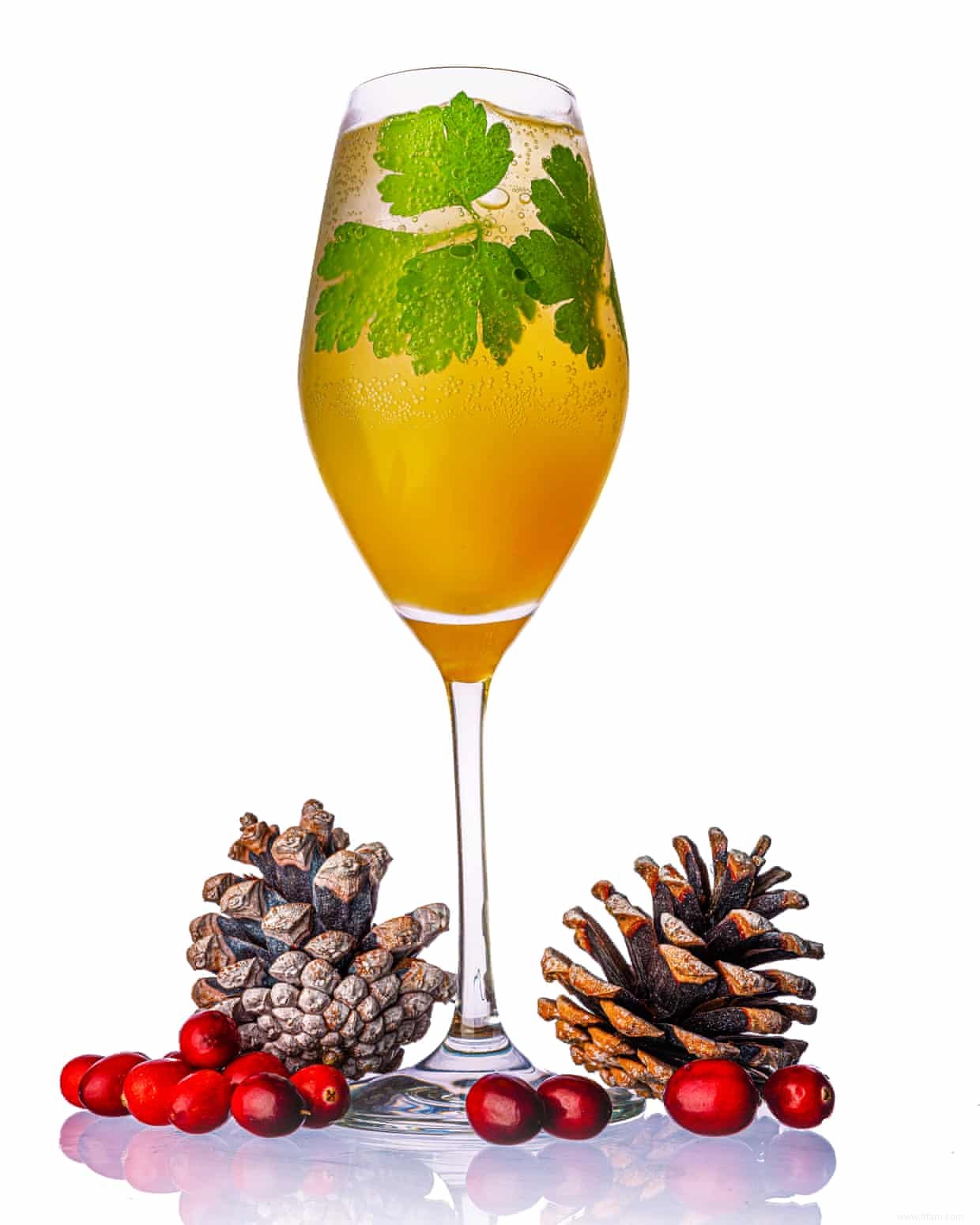 Joyeux Noël :sept cocktails de Mr Lyan 