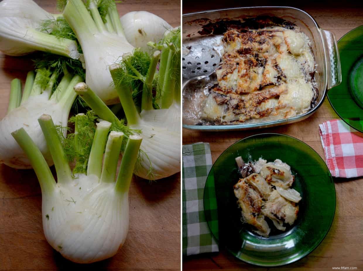 La recette du gratin de fenouil de Rachel Roddy 