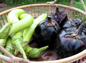 Tendre et succulente :aucune autre aubergine ne se compare à celle-ci 