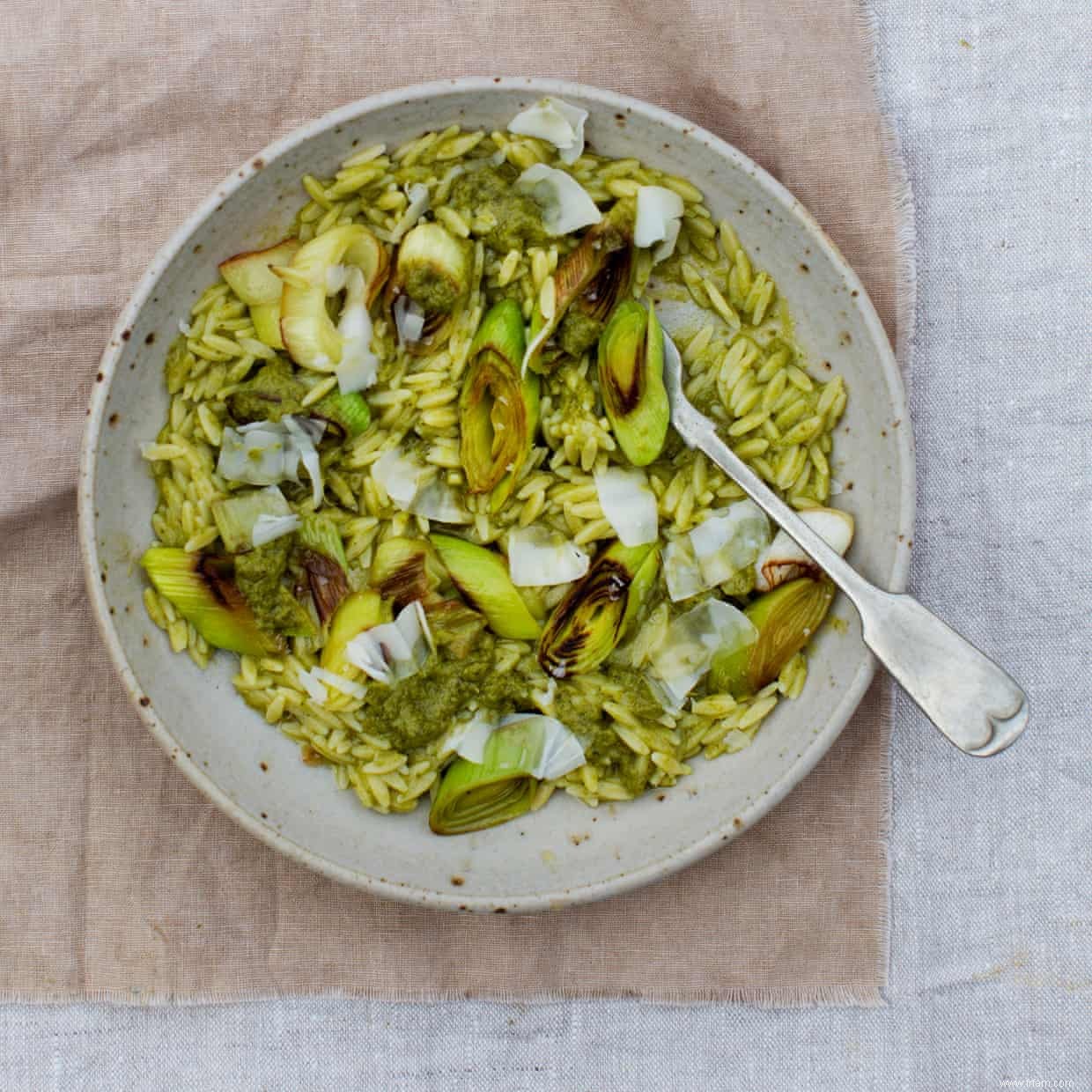 La main verte :les recettes ingénieuses de pâtes et de chou frisé d Anna Jones 