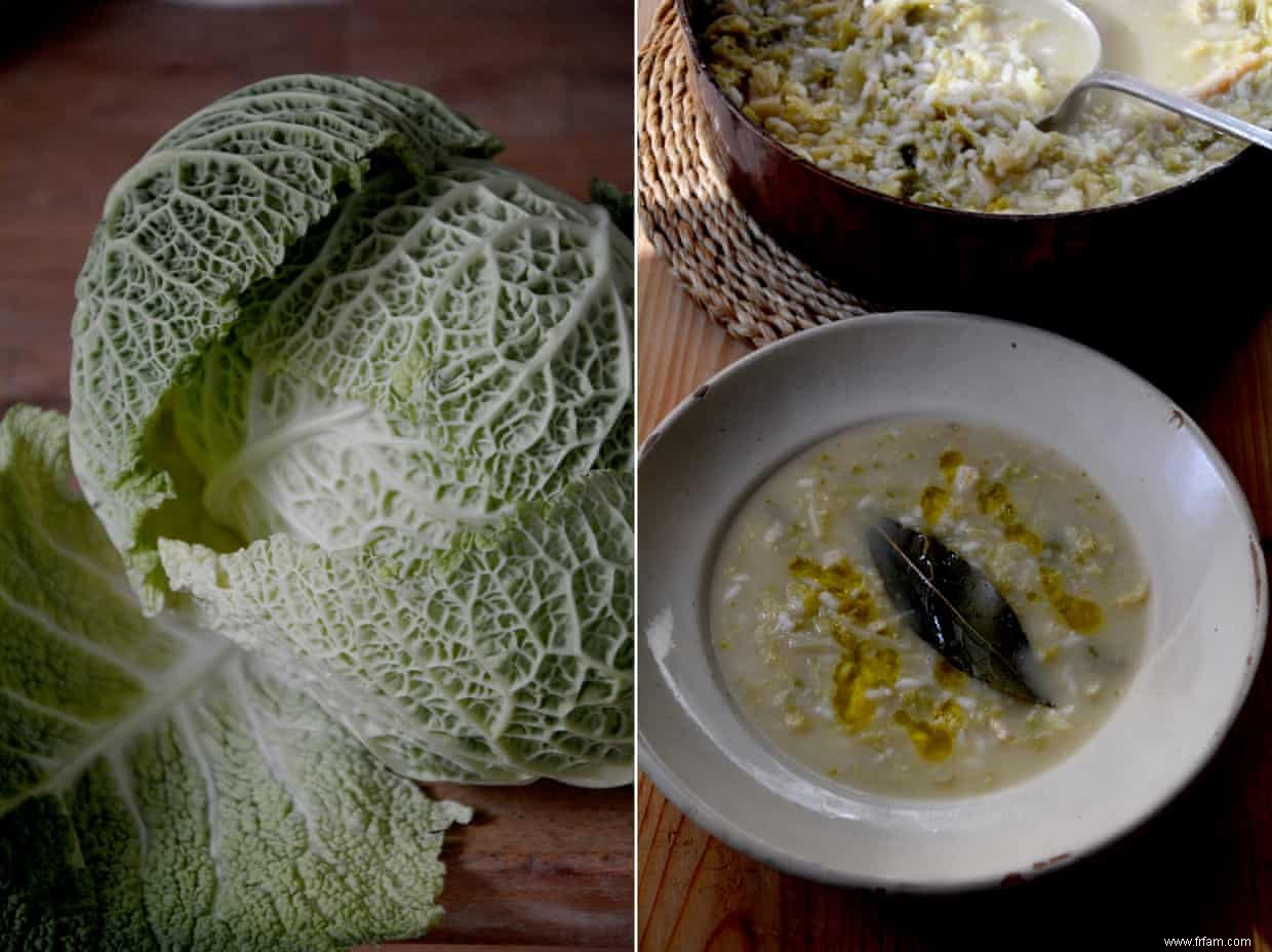 La recette de la soupe au riz et aux choux de Rachel Roddy 