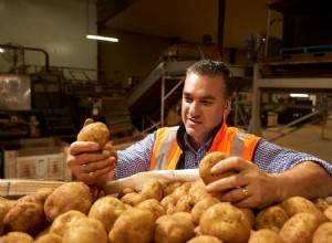 Pas de pommes de terre ratées :comment tirer le meilleur parti des pommes de terre australiennes 