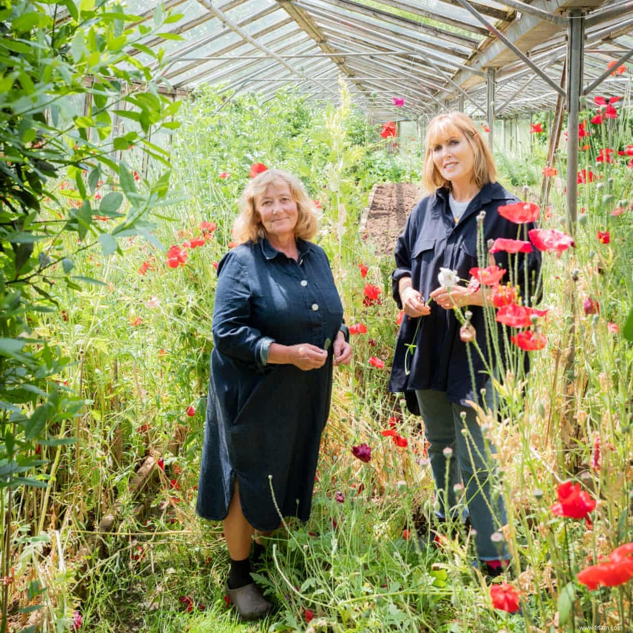 De la soupe de concombre à la glace :les recettes d été de Skye Gyngell 