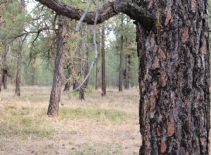 Les brûlages dirigés peuvent contrôler les incendies de forêt. Alors pourquoi les politiciens font-ils obstacle ? 