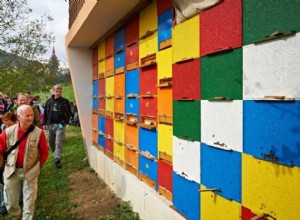 Le secret des abeilles en bonne santé se cache en Slovénie 