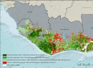 E.O. Wilson a changé le monde avec les leçons apprises des fourmis 