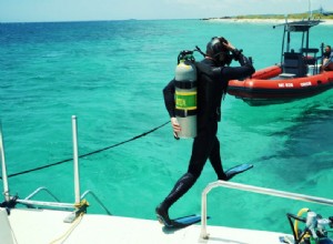 Le petit-fils de Jacques Cousteau construit un réseau de stations de recherche sur les fonds marins 