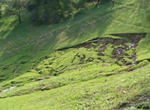 De nouvelles forêts robustes pourraient empêcher les Alpes autrichiennes de s effondrer en glissements de terrain 