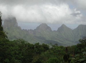 Cette île du Pacifique Sud pourrait nous aider à comprendre comment évoluent les champignons 