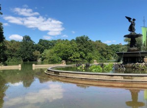 Une expérience d adaptation au climat est en cours dans l un des plus grands parcs de New York 