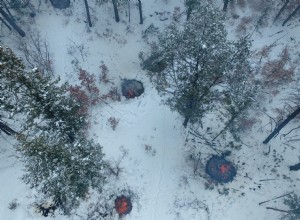 Pourquoi le US Forest Service a suspendu les brûlages dirigés - un outil clé de prévention des incendies de forêt 