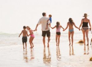 Équilibrer une famille nombreuse :comment gérer votre unité de manière cohérente 