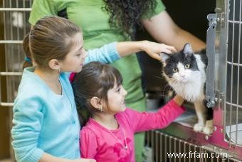 Combien ça coûte de dégriffer un chat ? 