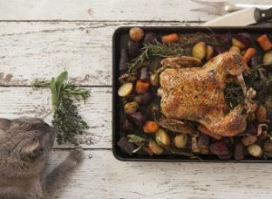 Gâteries pour chats avec les restes de Thanksgiving 