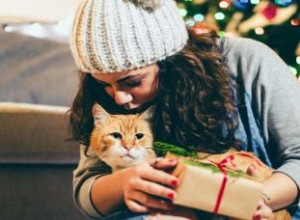 10 cadeaux parfaits pour les amoureux des chats 