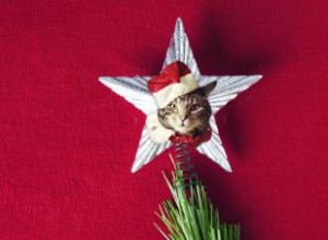 Toppers de sapin de Noël chat à fabriquer et à acheter 