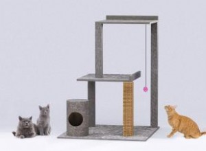 Construisez votre propre arbre à chat 