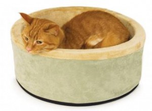 Guide d achat de lits chauffants pour chats 