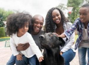 3 endroits où trouver des adoptions de chiots et à quoi s attendre 