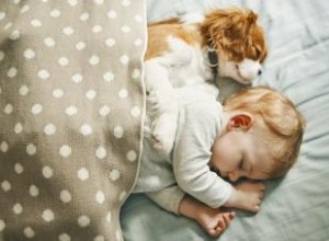 Conseils pour présenter votre bébé à votre chiot 