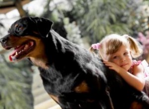 Ces races de chiens sont-elles sûres autour des enfants ? 