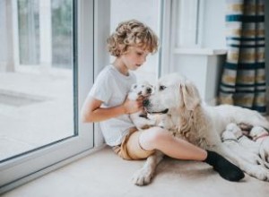 Le comportement d un chien change-t-il après avoir eu des chiots ? 